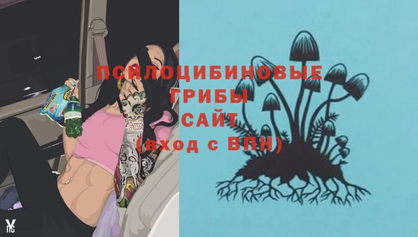 мескалин Киреевск