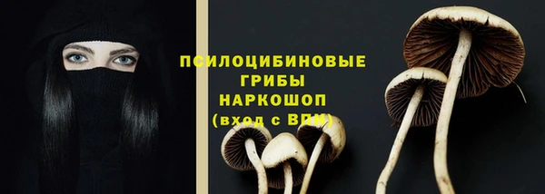 spice Аркадак