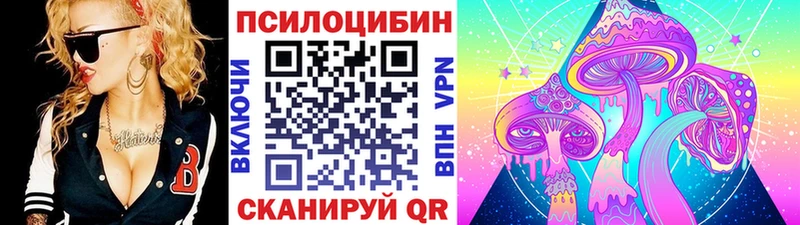 купить наркотик  Абинск  ссылка на мегу рабочий сайт  Псилоцибиновые грибы Psilocybe 